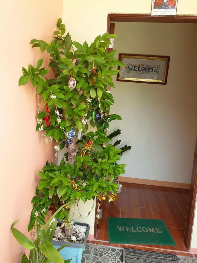 R&E Bed & Breakfast Ivana Kültér fotó